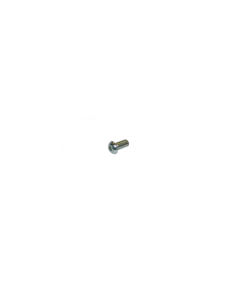 VIS TETE BOMBEE 8X16/ TB SCREW 8 X 16