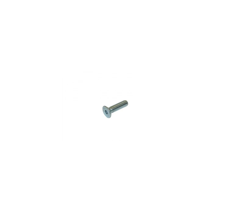 VIS TETE FRAISEE 6 PANS CREUX 8X30/ TPSCEI screw 8 x 30