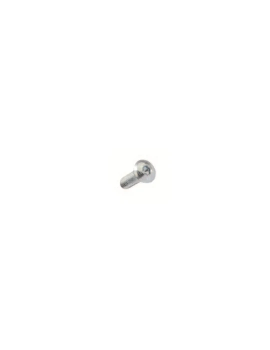 VIS TETE BOMBE 4X12 - H/ TB screw 4 x 12