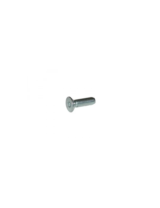 VIS TETE FRAISEE SIX CREUX 6X30/ TPSCEI SCREW 6 X 30