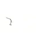 PEDALE ACCELERATEUR/ Accelerator Pedal