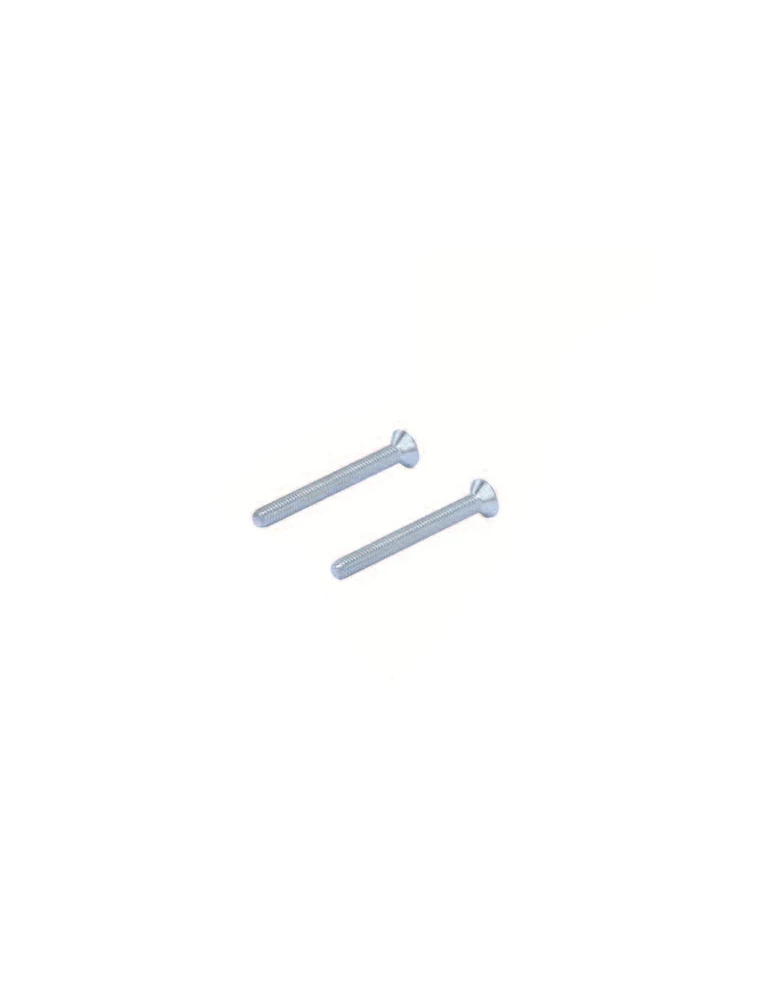 VIS TETE FRAISEE INOX M6x40mm OTK/ TPSCEI screw 6 x 55