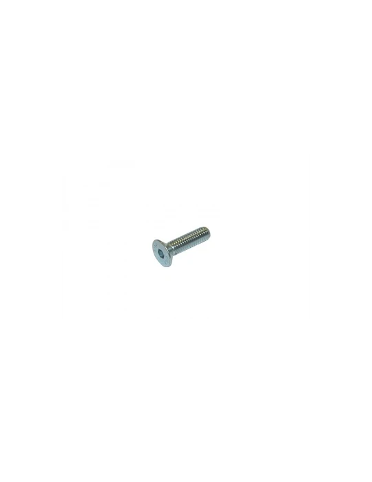 VIS TETE FRAISEE SIX CREUX 8X55/ TPSCEI screw 8 x 55