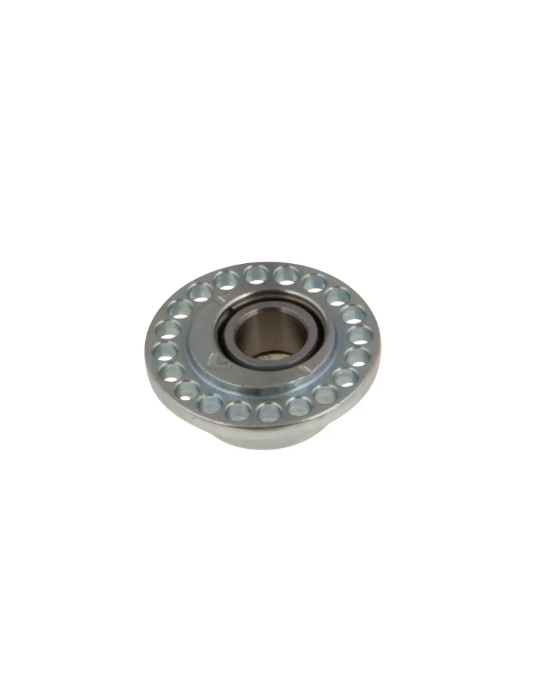 GUIDE PIVOT EXCENTRIQUE HST D22-10MM COMPLET/ Complete HST eccentric b
