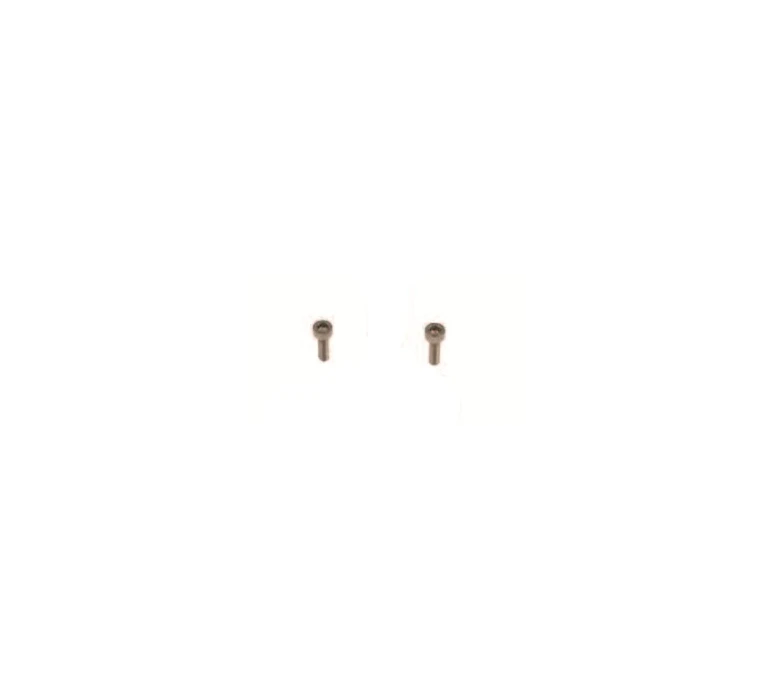 VIS INOX EXCENTRIQUE 3X10/ INOX SC/ INOX SCREW 3x10 10PCS