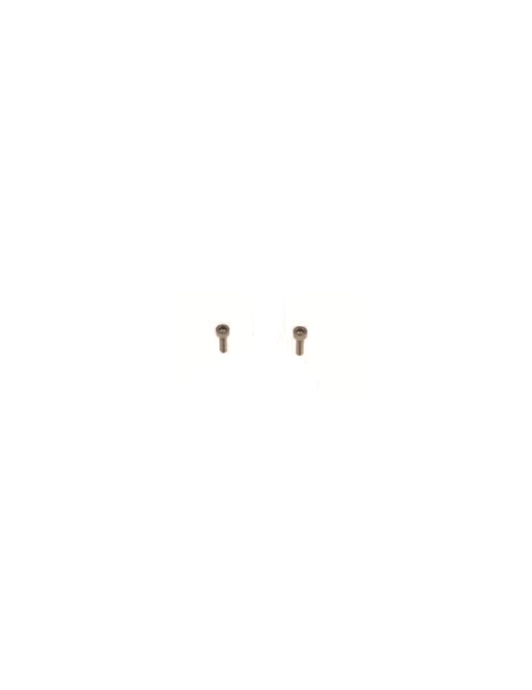 VIS INOX EXCENTRIQUE 3X10/ INOX SC/ INOX SCREW 3x10 10PCS