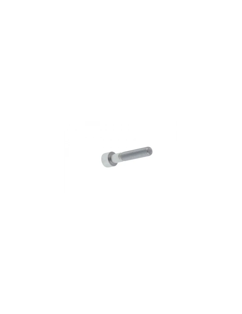 VIS TETE CYLINDRIQUE SIX PANS CREUX 6X25/ TCEI SCREW 6 X 25