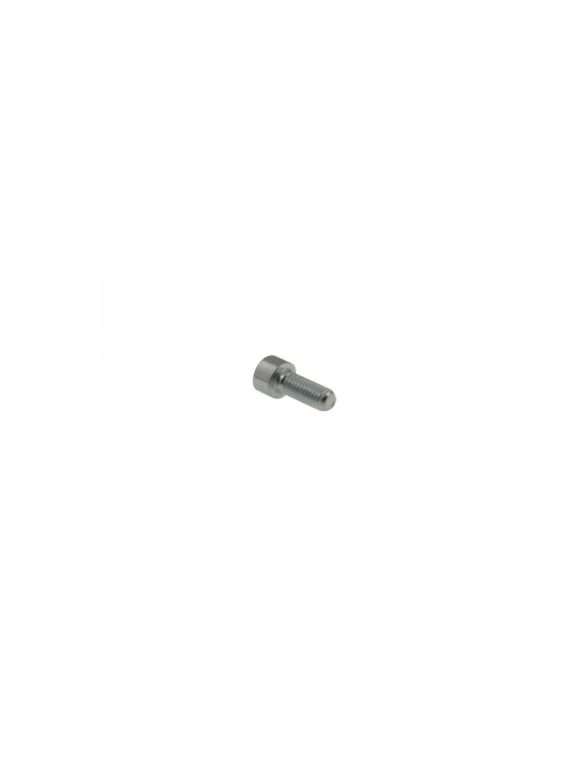 VIS TETE CYLINDRIQUE SIX PANS CREUX 8X20/ TCEI screw 8 x 20