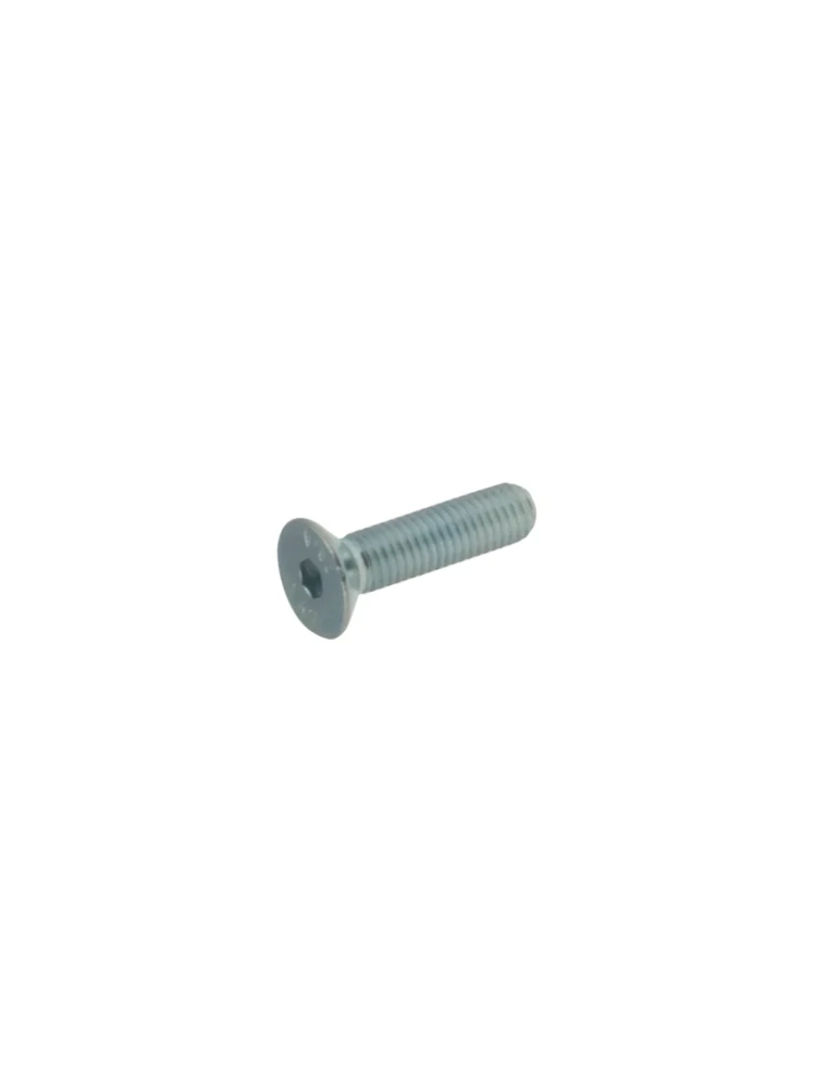 VIS TETE FRAISEE SIX PANS CREUX 6X40/ TPSCEI Screw 10 x 40
