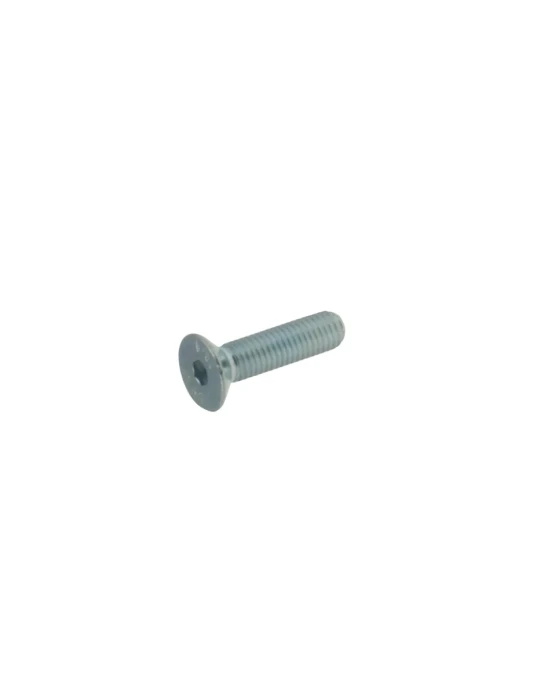 VIS TETE FRAISEE SIX PANS CREUX 6X40/ TPSCEI Screw 10 x 40