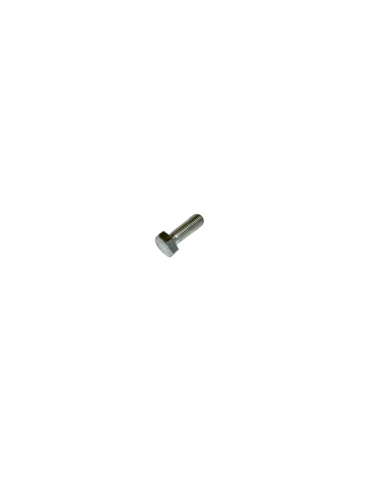 VIS TETE HEXAGONALE  8X25/ TE SCREW 8 X 25