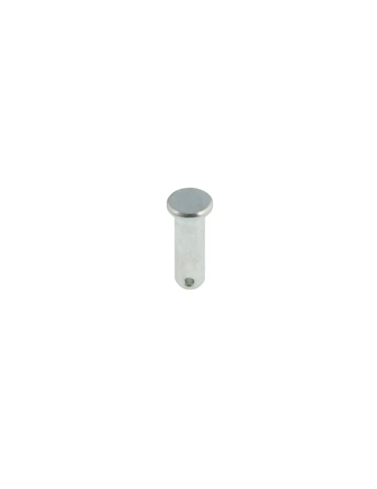AXE POMPE DE FREIN BSM4 / BSM4 BRAKE PUMP PIN