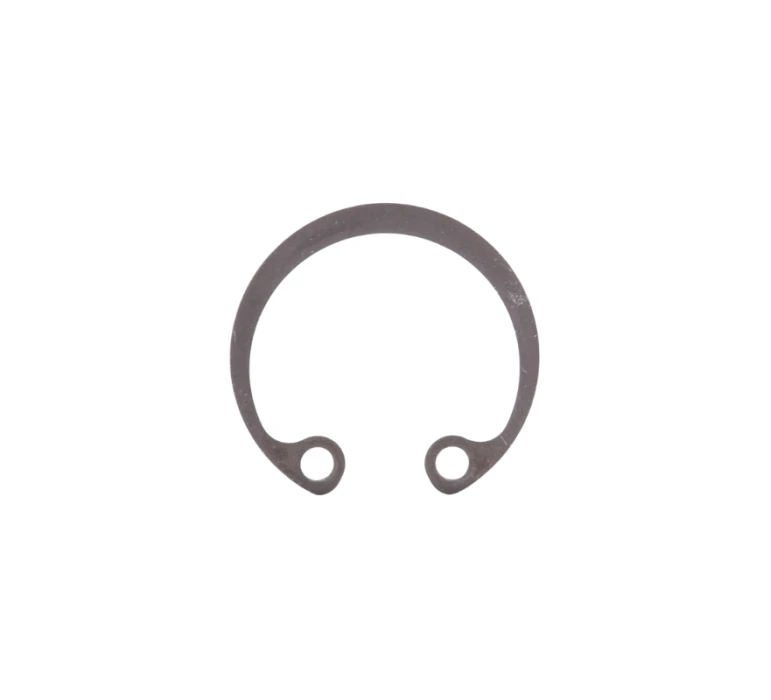 CLIPS BSM4 / SEEGER