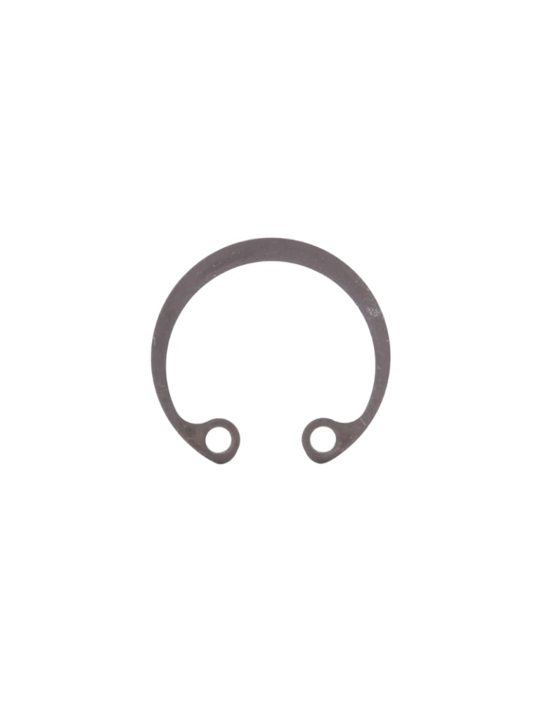CLIPS BSM4 / SEEGER