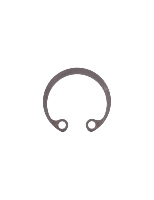 CLIPS BSM4 / SEEGER