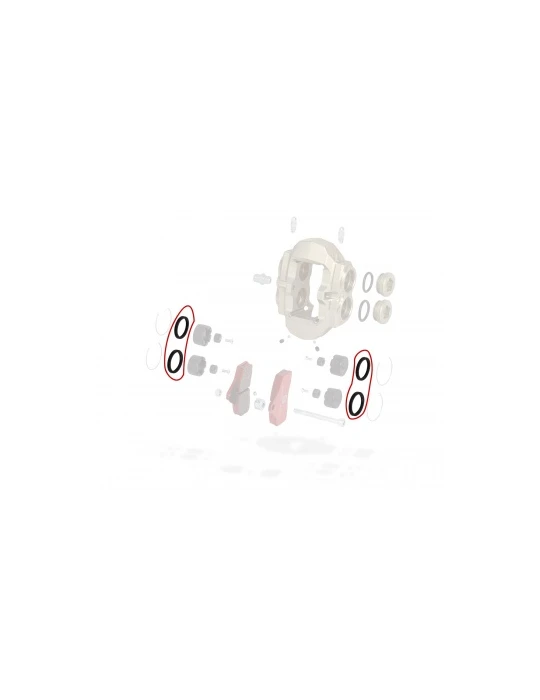 COUPELLE ETRIER BSS / BSS FRONT CALIPER'S LINING