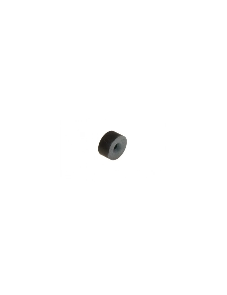 AIMANT PISTON ETRIER AR/ MAGNET REAR BRAKE PISTON