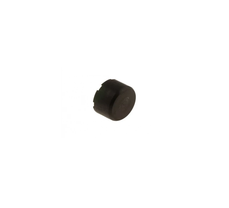 PISTON ETRIER ARR BSD-SA2 / BRAKE CALIPER PISTON BSD-SA2