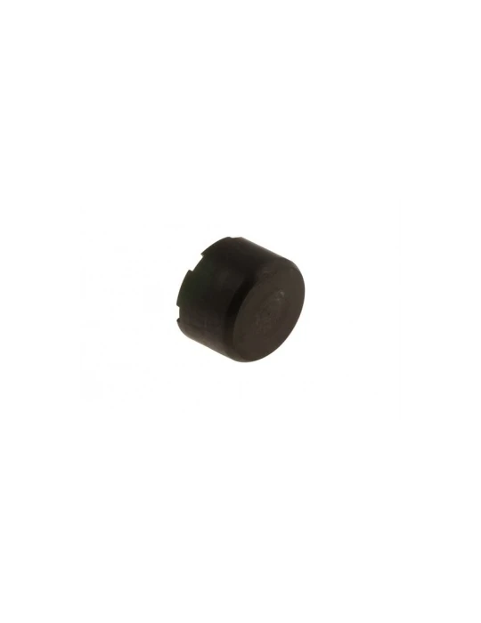 PISTON ETRIER ARR BSD-SA2 / BRAKE CALIPER PISTON BSD-SA2