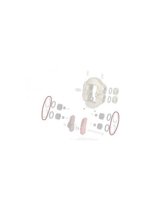 CLIPS ETRIER AV BSS / FRONT CALIPER THICKNESS CLIP KZ BSS