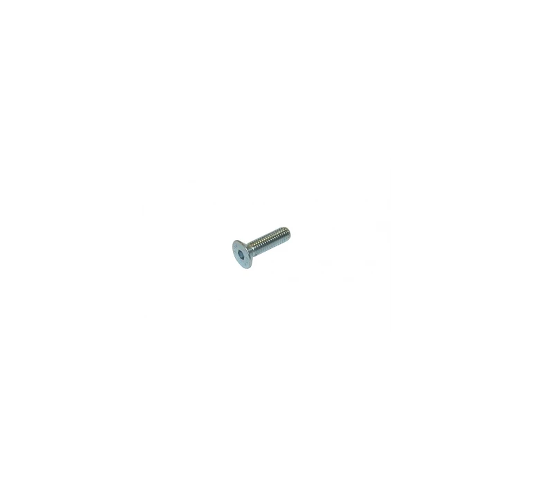 VIS TETE CYLINDRIQUE SIX PANS CREUX 8X20/ TPSCEI screw 8 x 20
