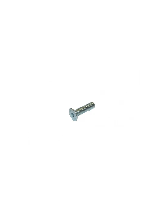 VIS TETE CYLINDRIQUE SIX PANS CREUX 8X20/ TPSCEI screw 8 x 20