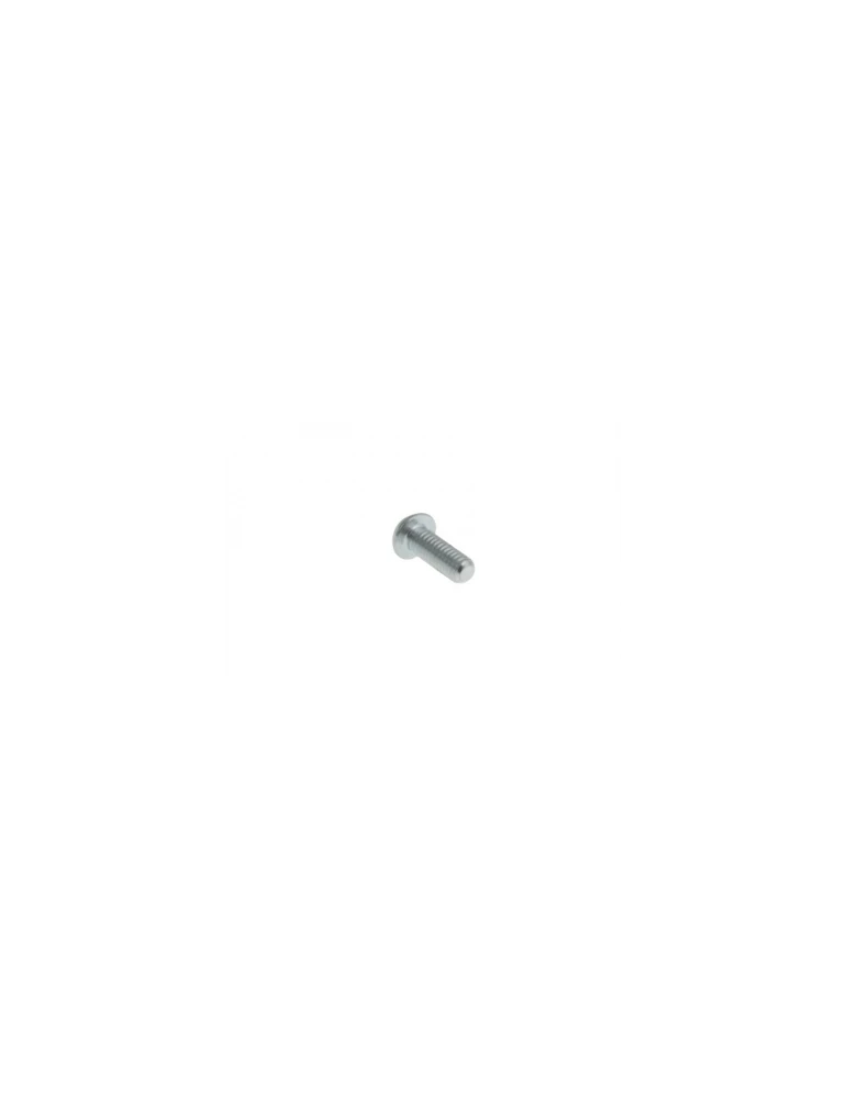 VIS TÊTE BOMBÉE 5 X 16 / TB SCREW 5 X 16