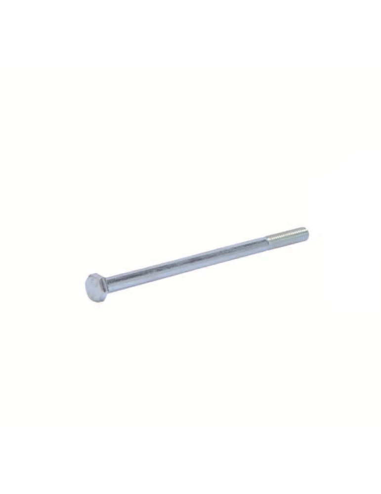 Vis TE 6x100 mm