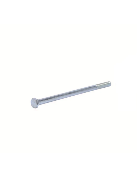 Vis TE 6x100 mm