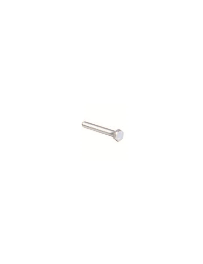 VIS TÊTE HEXAGONALE 8 X 60 / TE SCREW 8 X 60