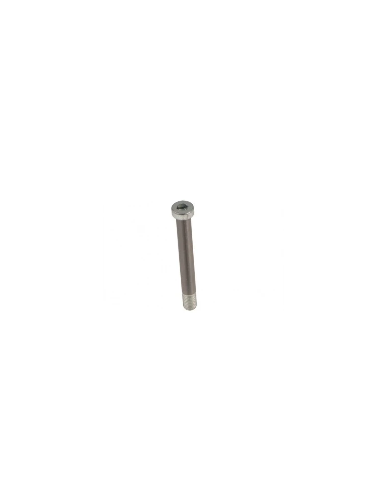 HST STUB AXLE SCREW