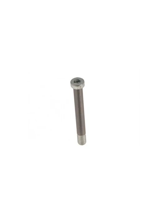 HST STUB AXLE SCREW