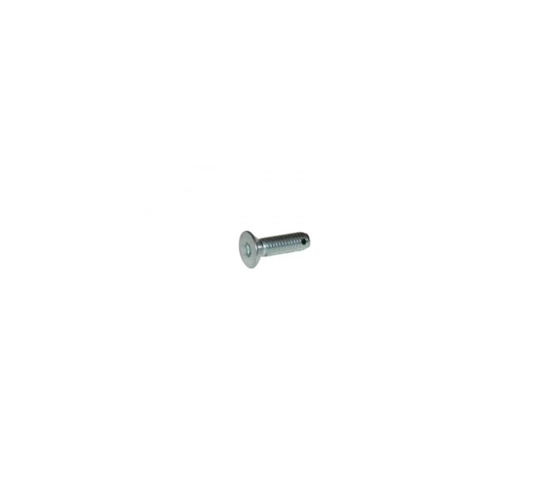 VIS TETE FRAISEE 6 PANS CREUX / Drilled TPSCEI screw