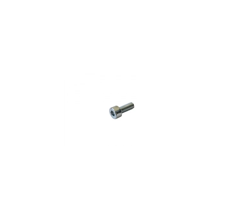 VIS TETE CYLINDRIQUE SIX PANS CREUX 4X10 - AE/ TCEI screw 4 x 10