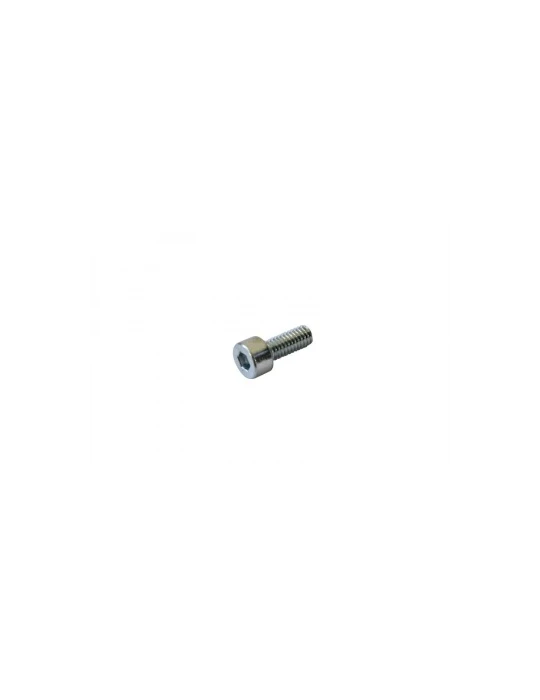 VIS TETE CYLINDRIQUE SIX PANS CREUX 4X10 - AE/ TCEI screw 4 x 10