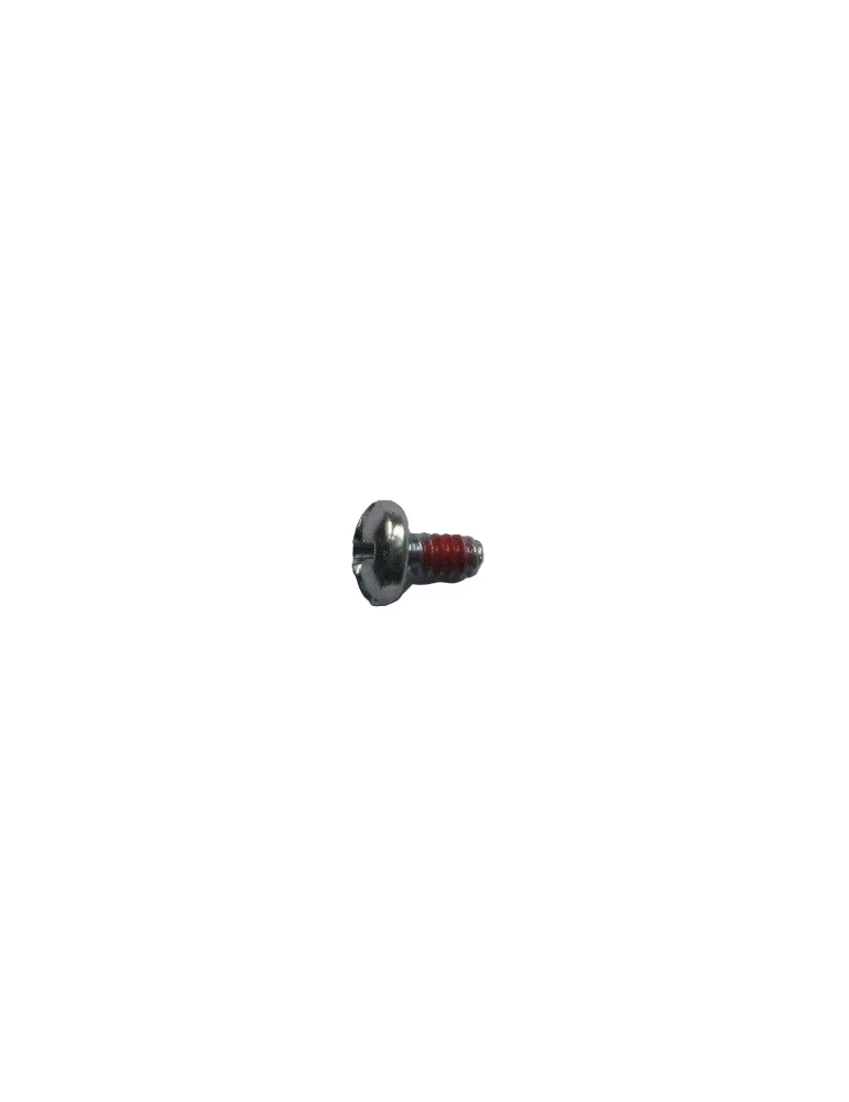 VIS BLOCAGE AXE PAPILLON/THROTTLE LEVER RETAINING SCREW