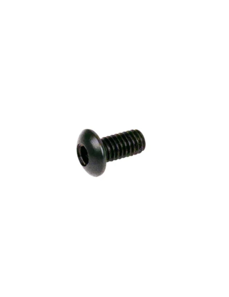 KIT 20 SCREWS M4x8