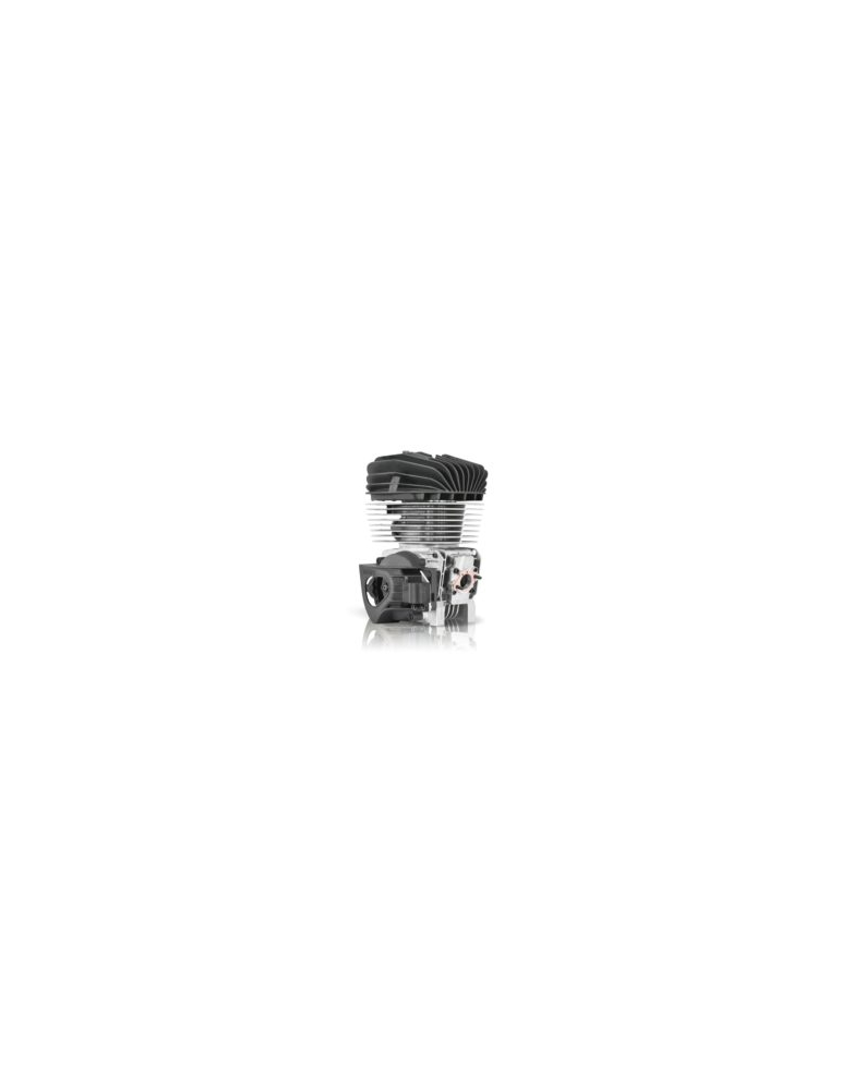 MOTEUR IAME REEDJET KA100