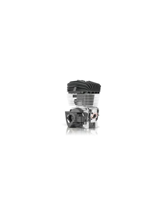 MOTEUR IAME REEDJET KA100