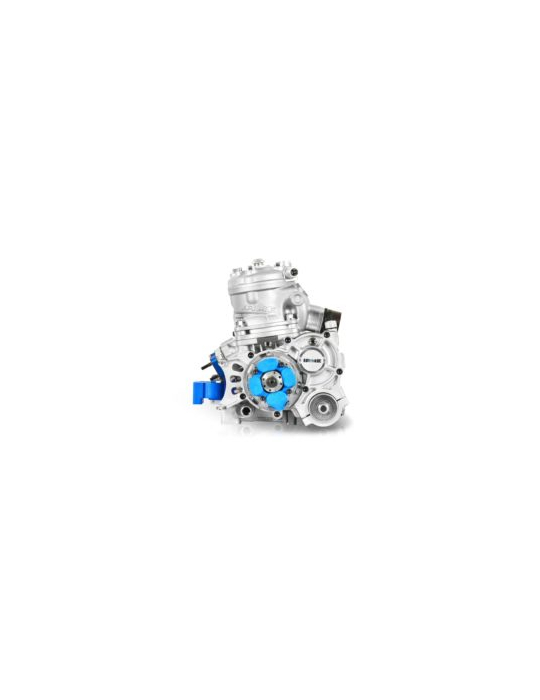MOTEUR IAME SUPER X30 - ENGINE