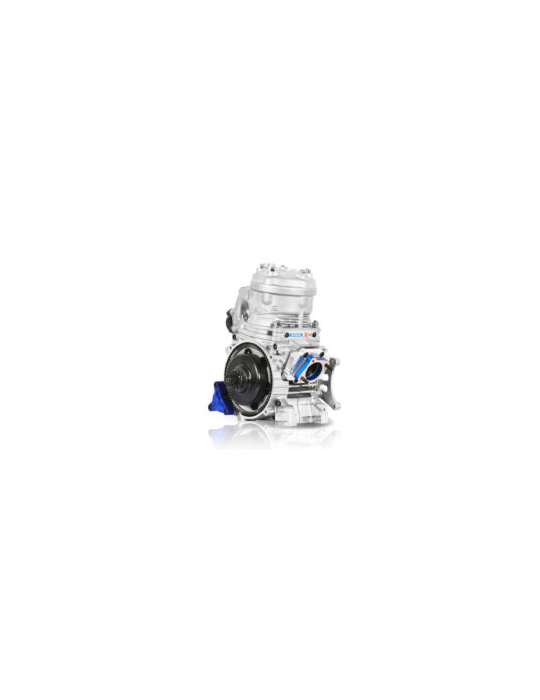 MOTEUR IAME SUPER X30 - ENGINE