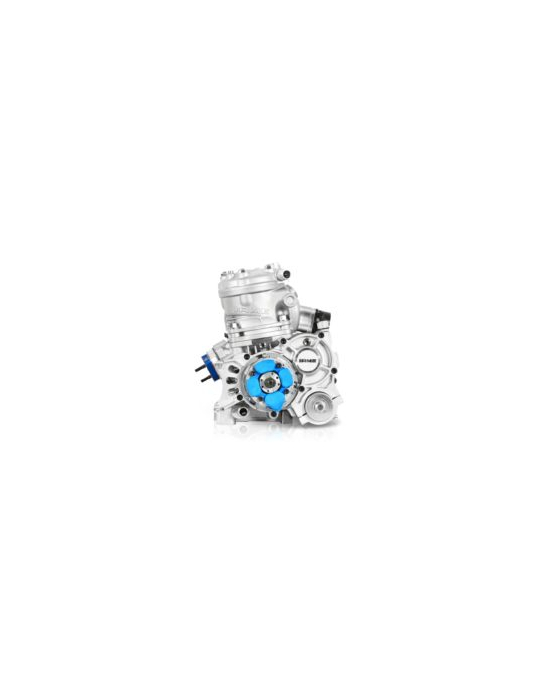 MOTEUR IAME SUPER X30 - ENGINE