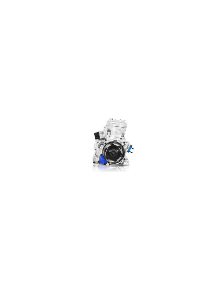 MOTEUR IAME SUPER X30 - ENGINE