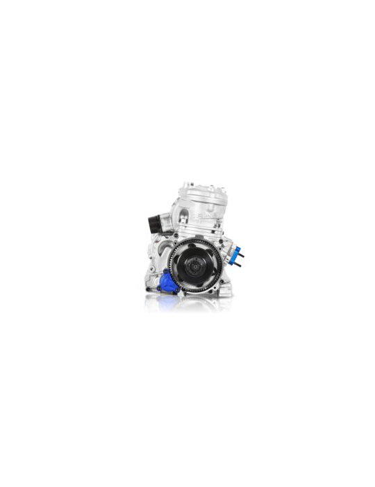 MOTEUR IAME SUPER X30 - ENGINE