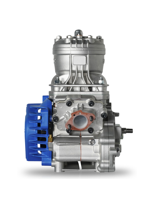MOTEUR IAME ENGINE S125 COMPLETE