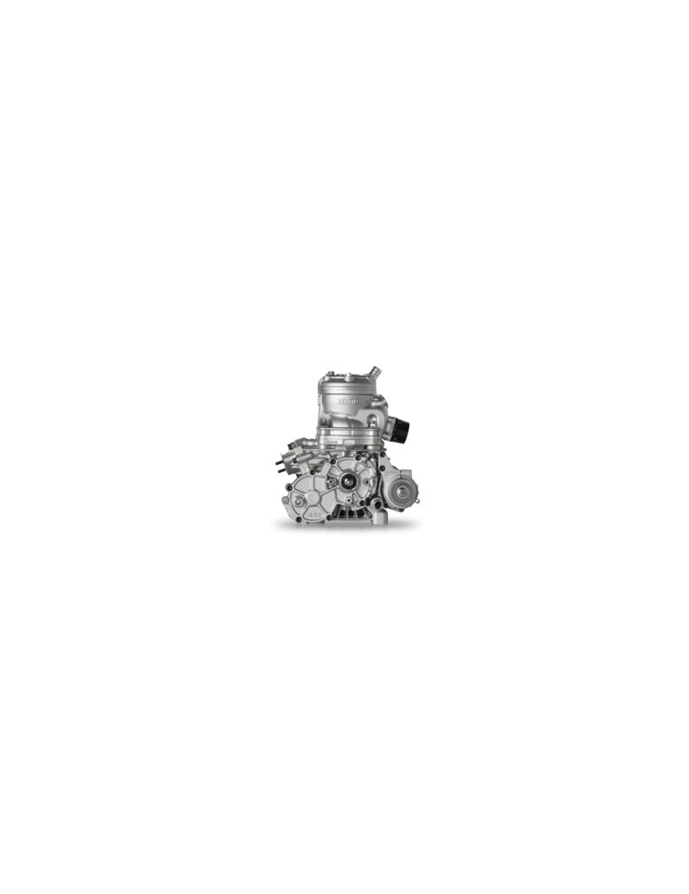 MOTEUR IAME ENGINE S125 COMPLETE