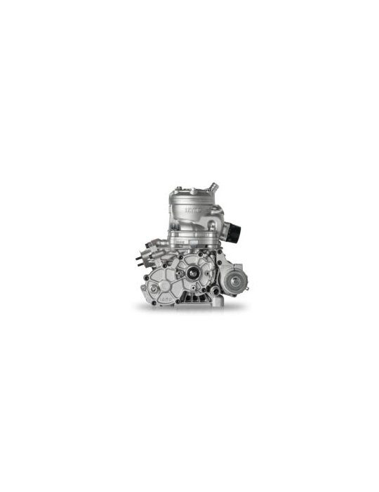 MOTEUR IAME ENGINE S125 COMPLETE