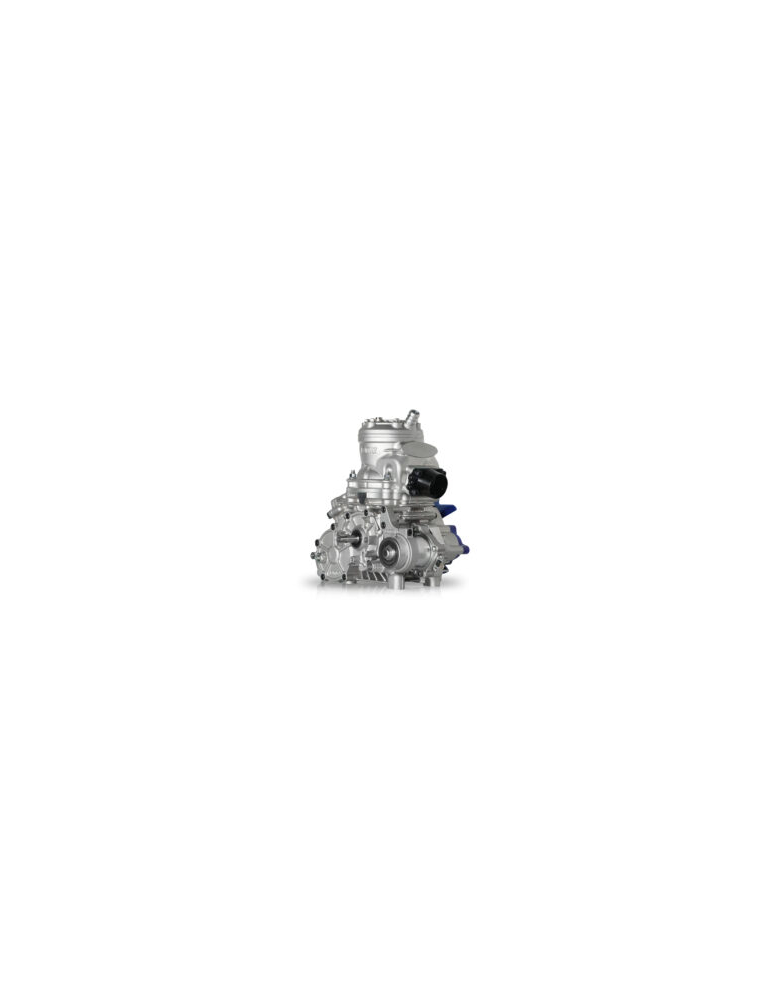 MOTEUR IAME ENGINE S125 COMPLETE