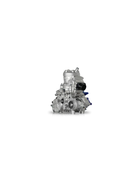 MOTEUR IAME ENGINE S125 COMPLETE