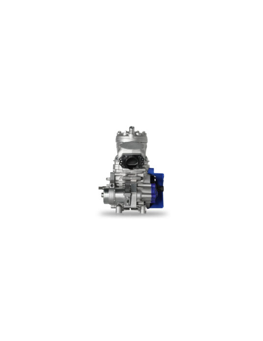MOTEUR IAME ENGINE S125 COMPLETE